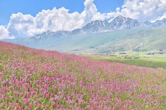 I traverse mountains, wander along rivers, and circle prayer stupas — not for a better afterlife, but to meet the sunset glow of Western Sichuan along the way.