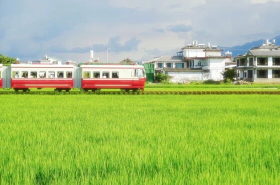Wind over the Erhai Lake, clouds living Cangshan, Yunnan’s romantic, everywhere.