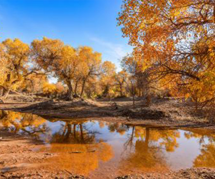 9-day tour in Xinjiang