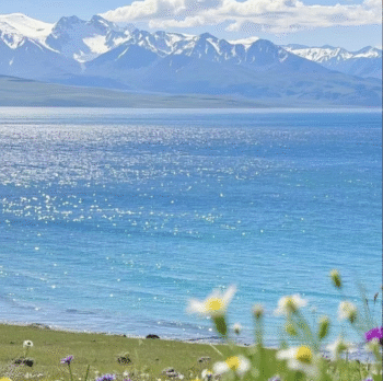 微信图片_20251128142912_160_3 微信图片_20251128142912_160_3