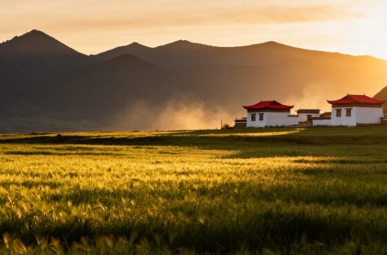 稻城亞丁至四姑娘山九日悠閒之旅。